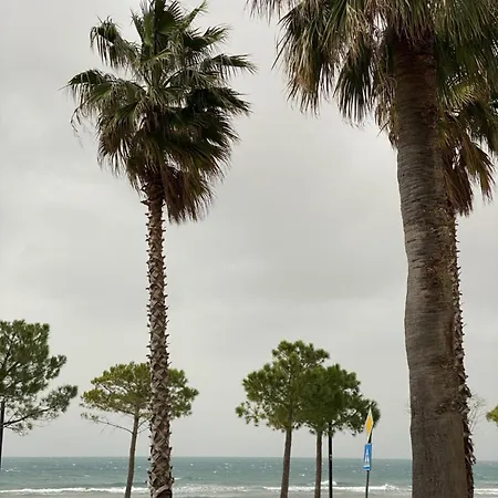 Summer * Vlore