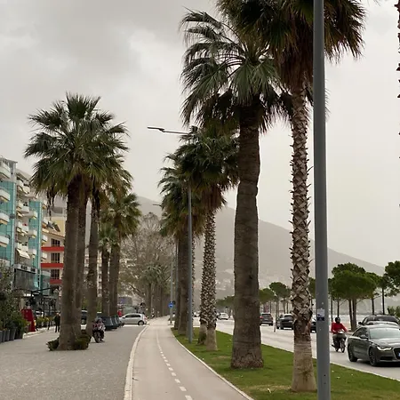Summer Vlore